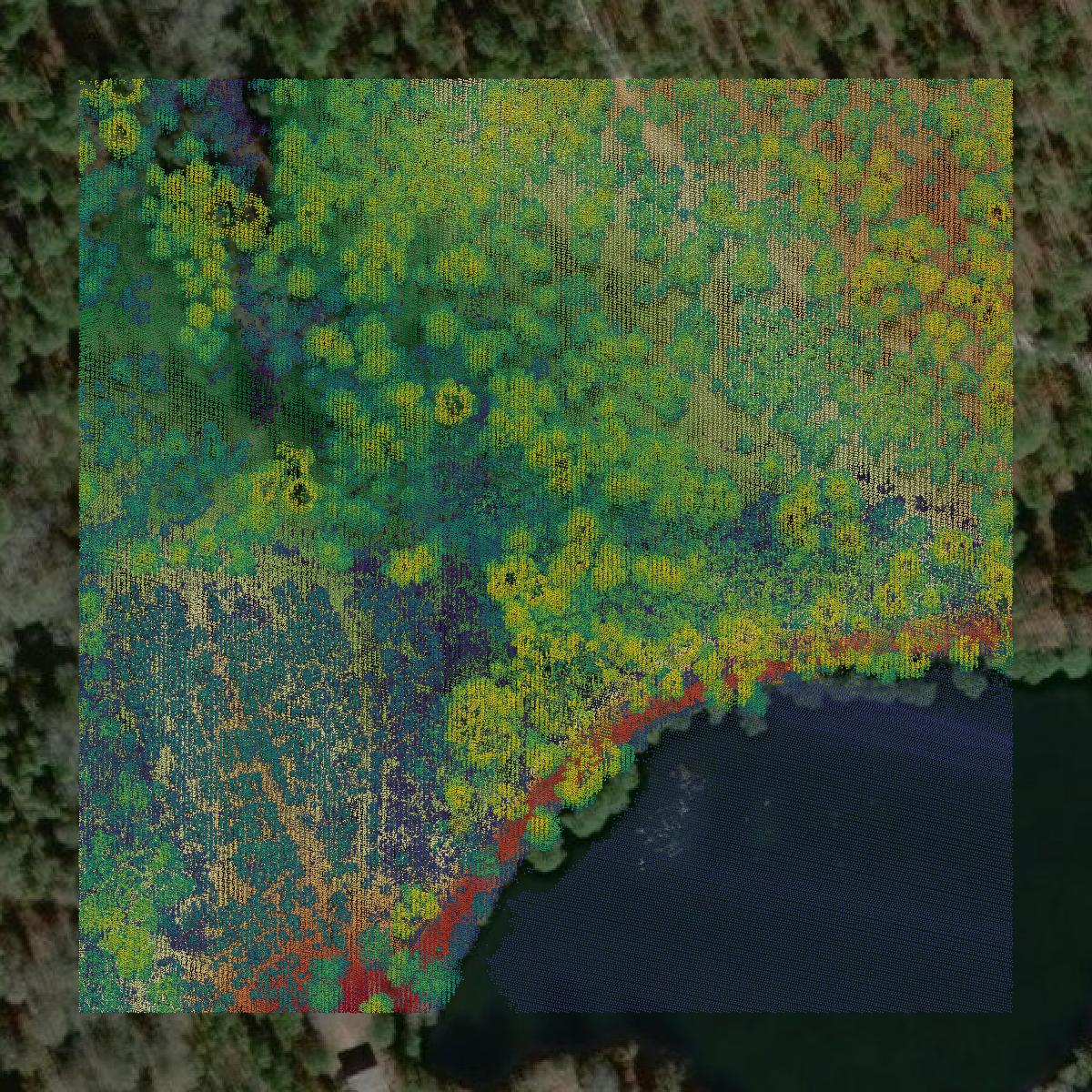 This image shows a LiDAR point cloud in Worth County created using GIS data in Equator.