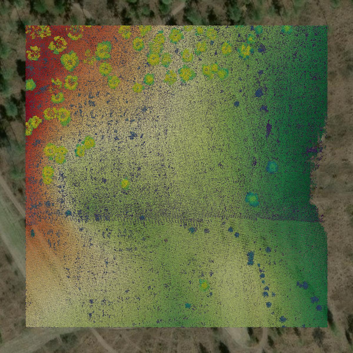 This image shows a LiDAR point cloud in Worth County created using GIS data in Equator.