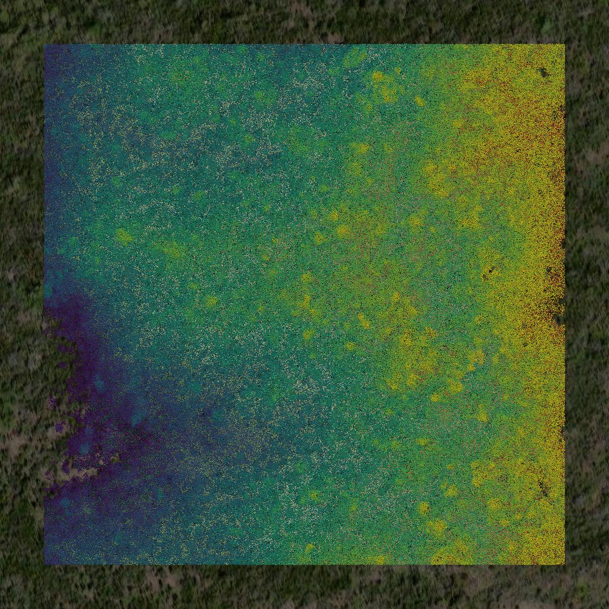 This image shows a LiDAR point cloud in Hawaii County created using GIS data in Equator.
