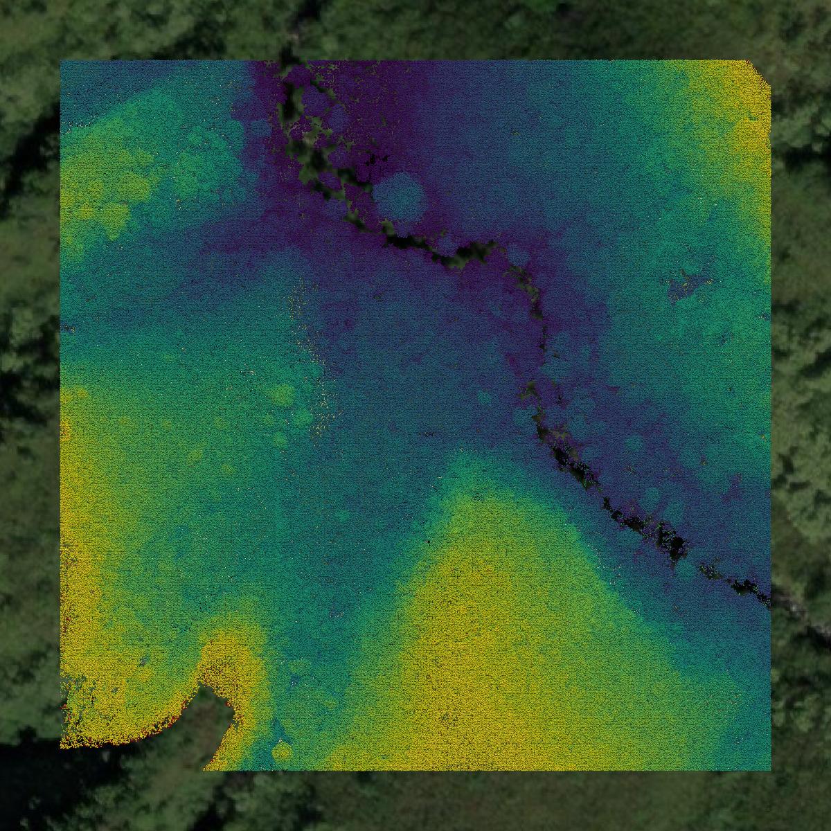 This image shows a LiDAR point cloud in Kalawao County created using GIS data in Equator.