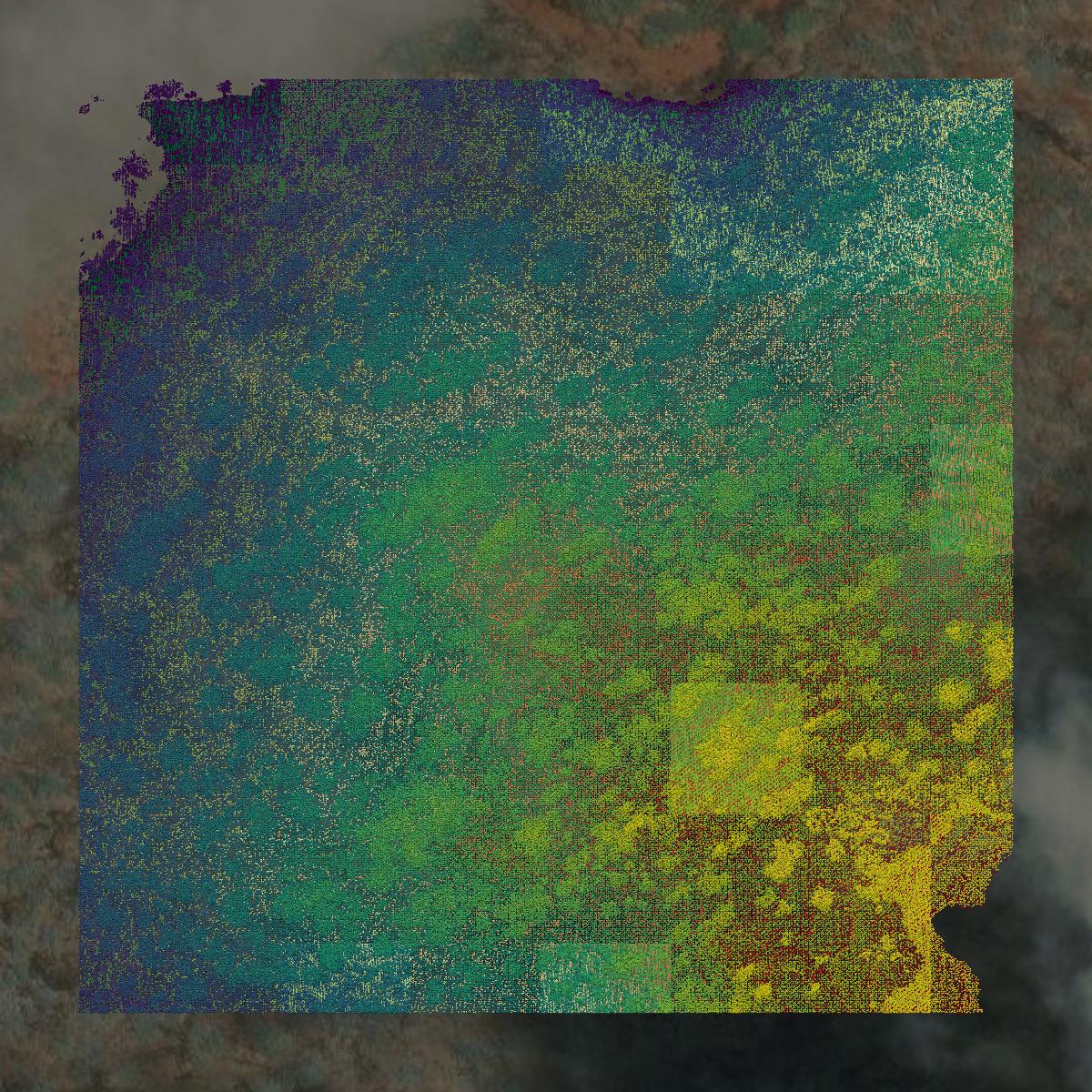 This image shows a LiDAR point cloud in Maui County created using GIS data in Equator.