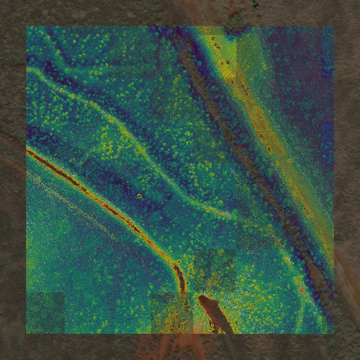 This image shows a LiDAR point cloud in Maui County created using GIS data in Equator.