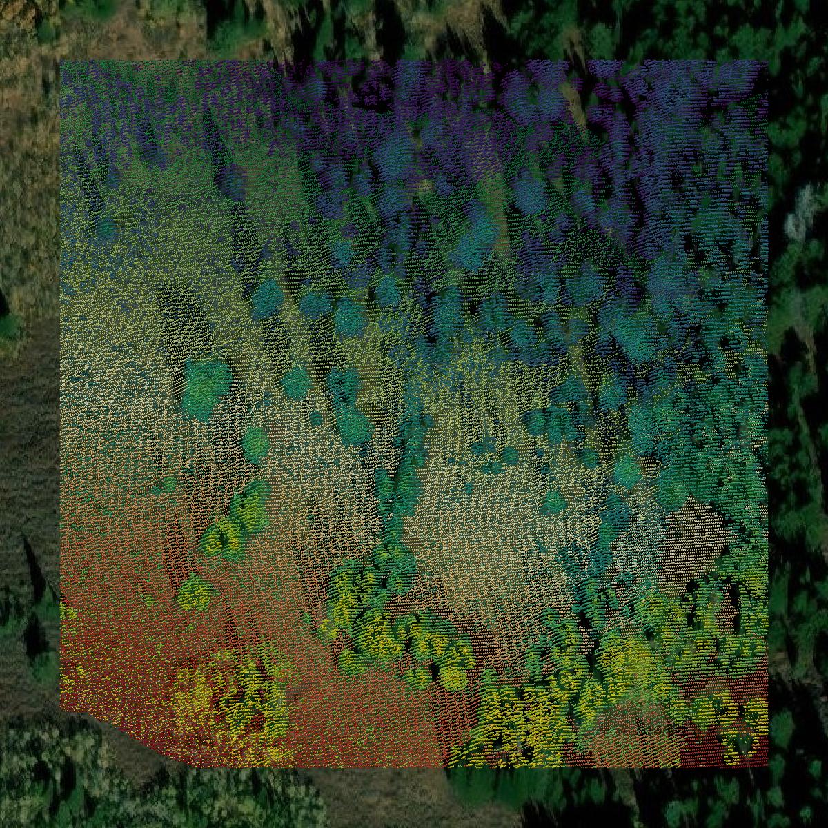 This image shows a LiDAR point cloud in Bannock County created using GIS data in Equator.
