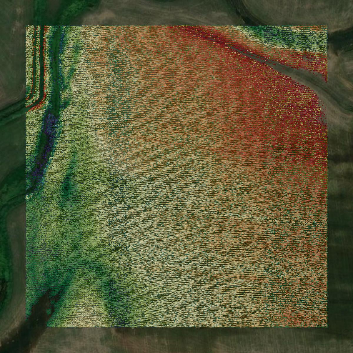 This image shows a LiDAR point cloud in Bear Lake County created using GIS data in Equator.