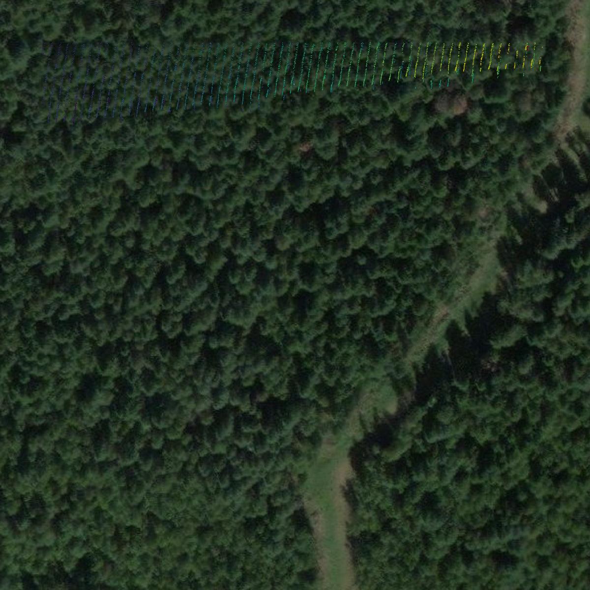 This image shows a LiDAR point cloud in Benewah County created using GIS data in Equator.