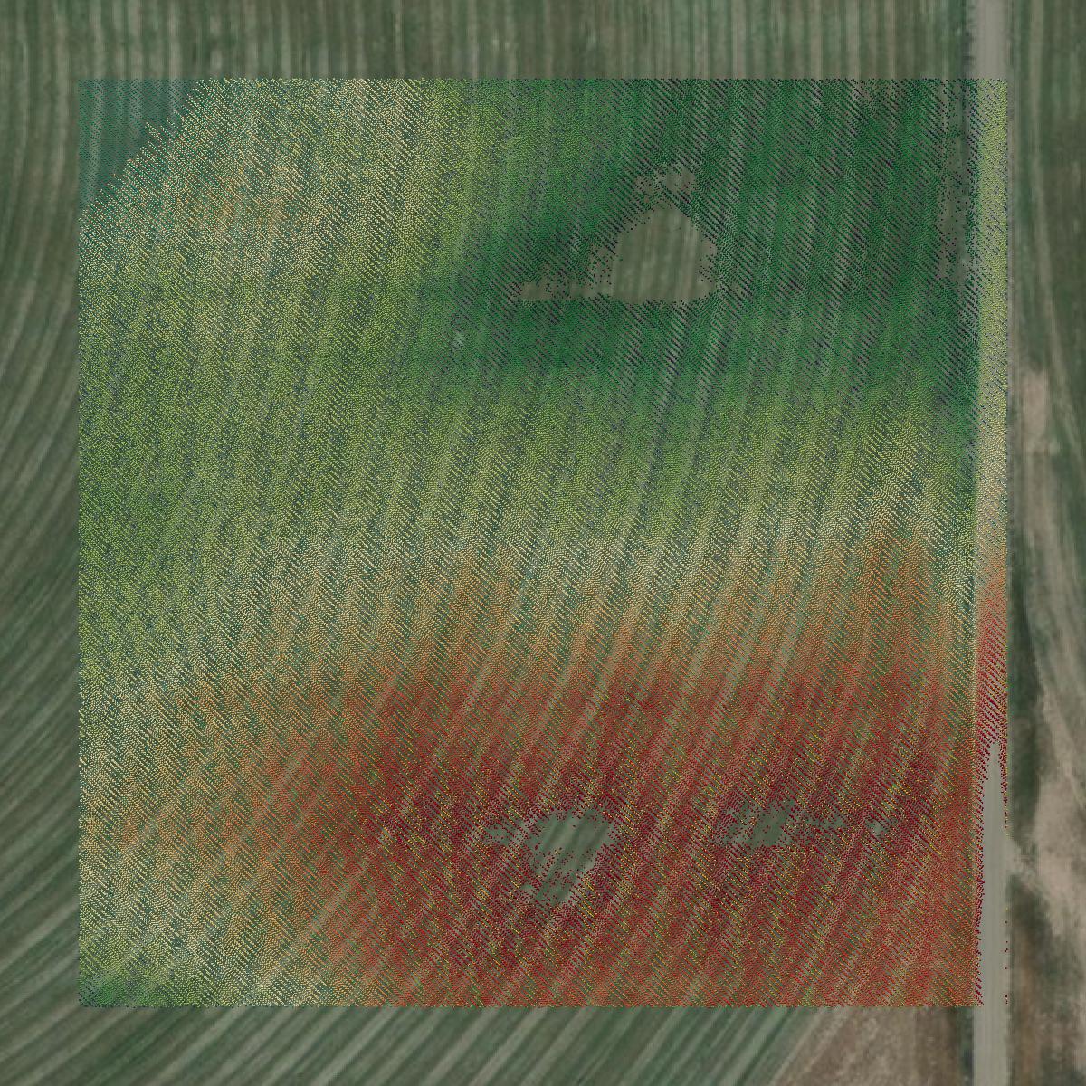 This image shows a LiDAR point cloud in Bingham County created using GIS data in Equator.