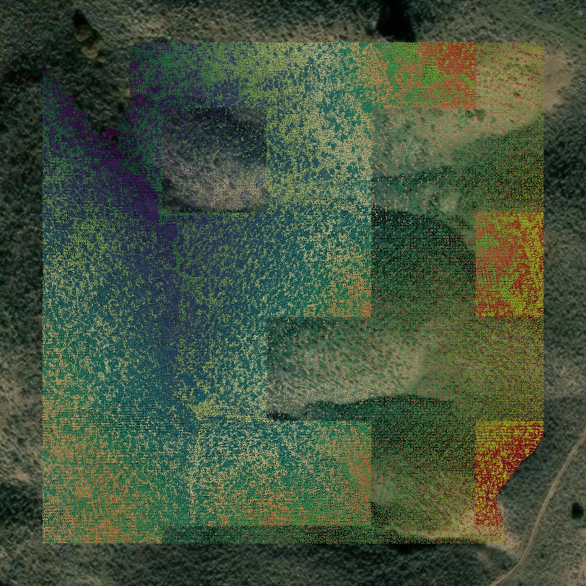 This image shows a LiDAR point cloud in Boise County created using GIS data in Equator.