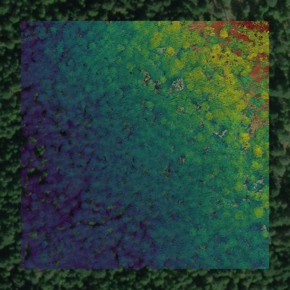 This image shows a LiDAR point cloud in Bonner County created using GIS data in Equator.