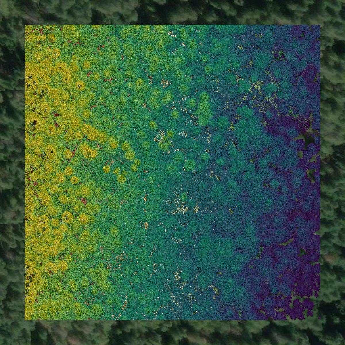 This image shows a LiDAR point cloud in Bonner County created using GIS data in Equator.