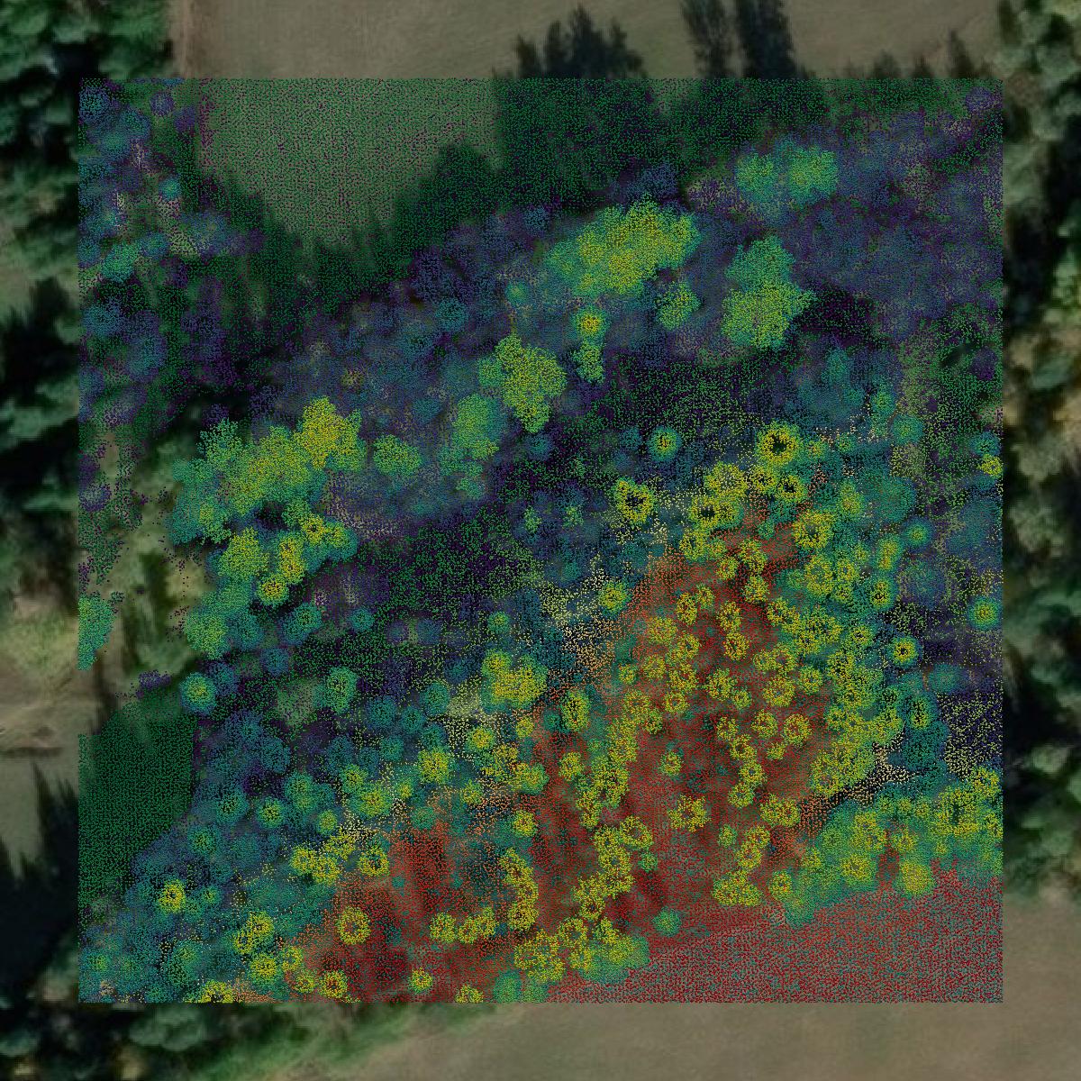 This image shows a LiDAR point cloud in Boundary County created using GIS data in Equator.