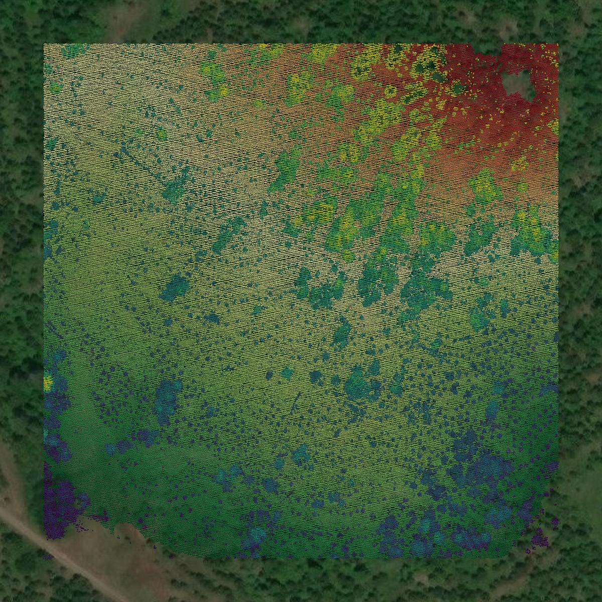 This image shows a LiDAR point cloud in Clearwater County created using GIS data in Equator.