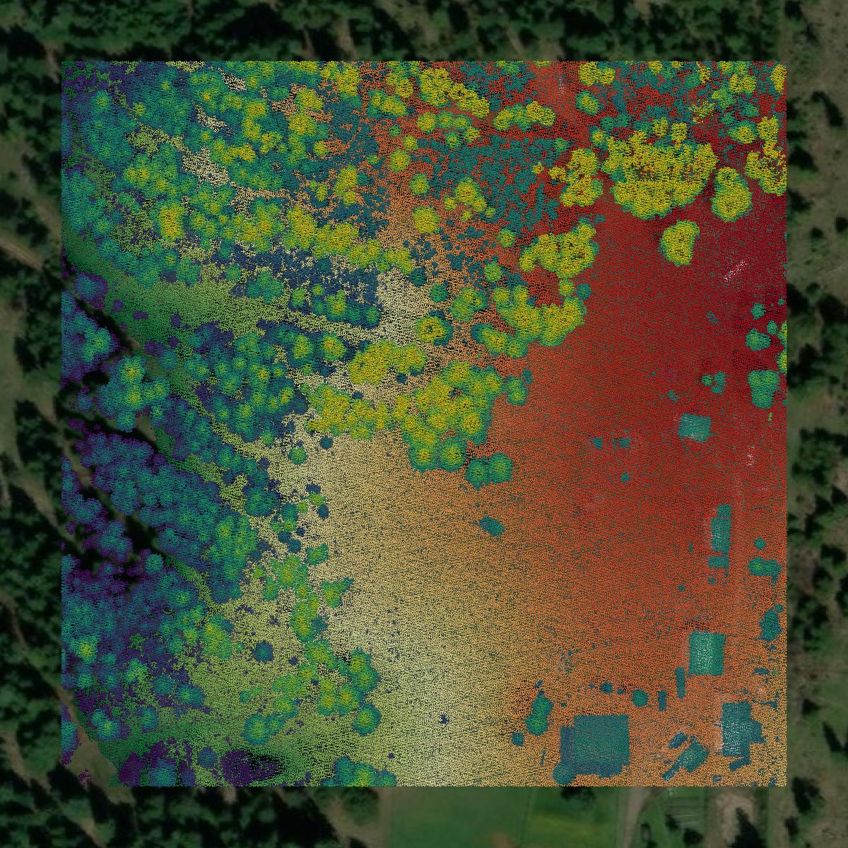 This image shows a LiDAR point cloud in Clearwater County created using GIS data in Equator.
