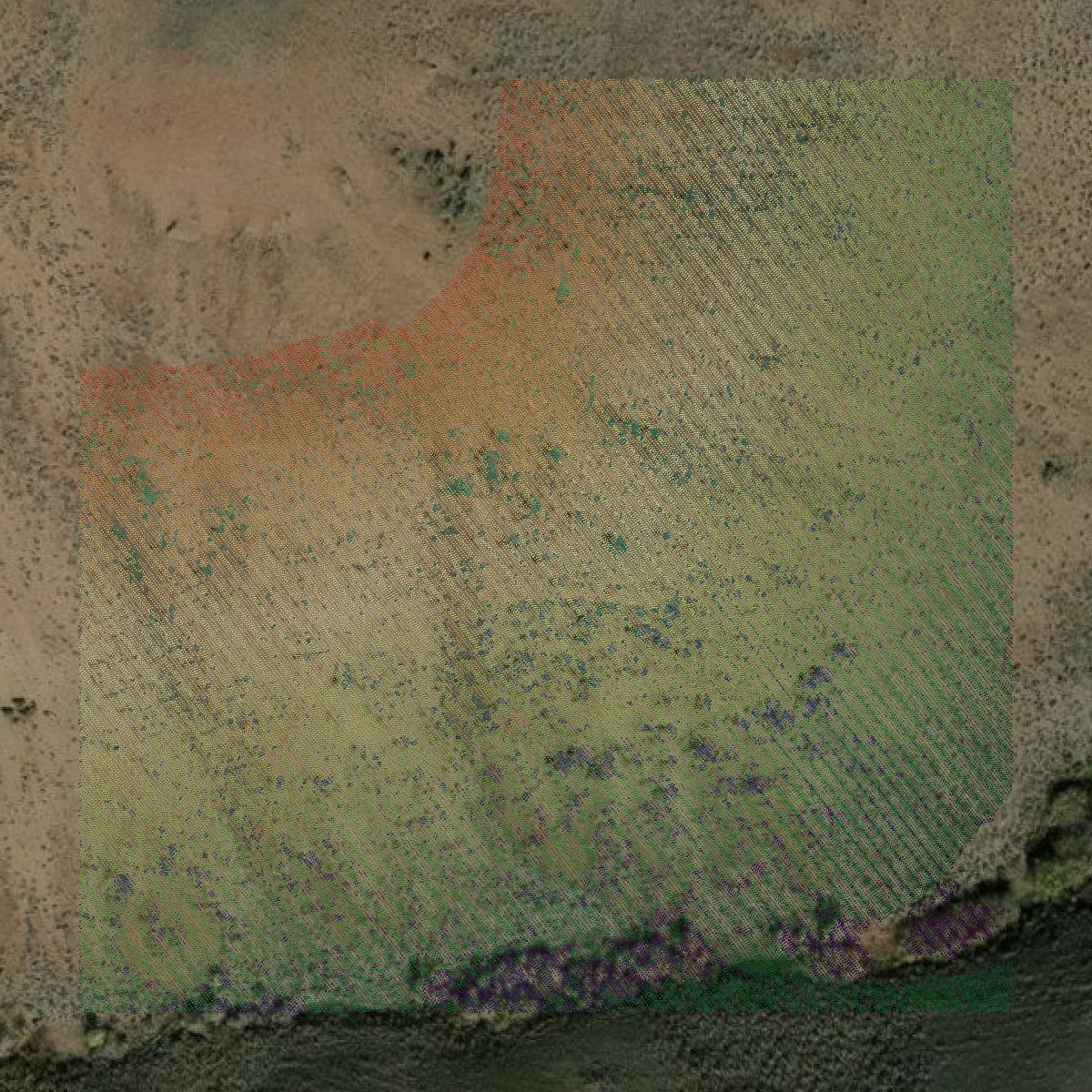 This image shows a LiDAR point cloud in Custer County created using GIS data in Equator.