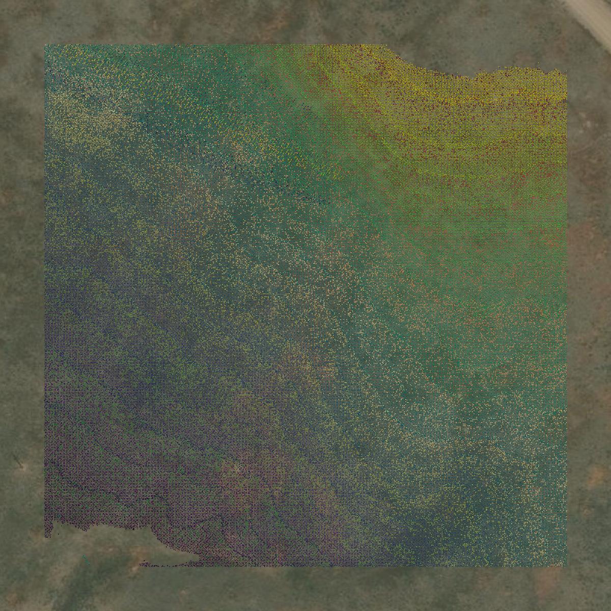 This image shows a LiDAR point cloud in Elmore County created using GIS data in Equator.