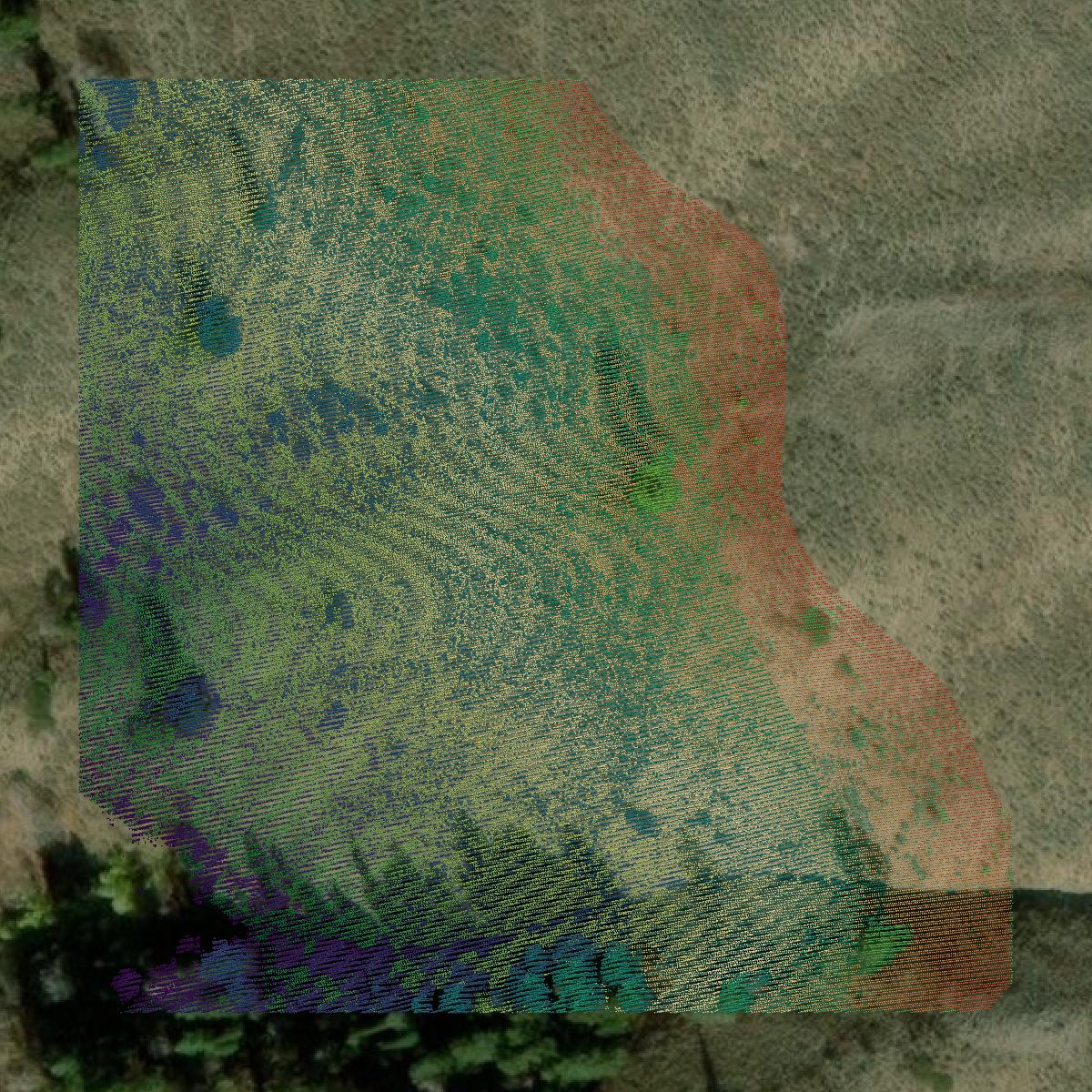 This image shows a LiDAR point cloud in Franklin County created using GIS data in Equator.