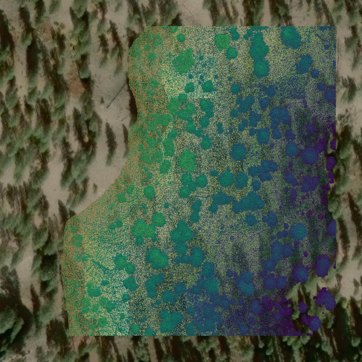 This image shows a LiDAR point cloud in Idaho County created using GIS data in Equator.