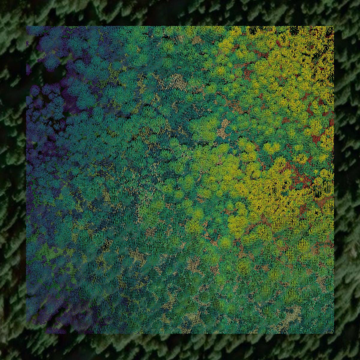 This image shows a LiDAR point cloud in Idaho County created using GIS data in Equator.