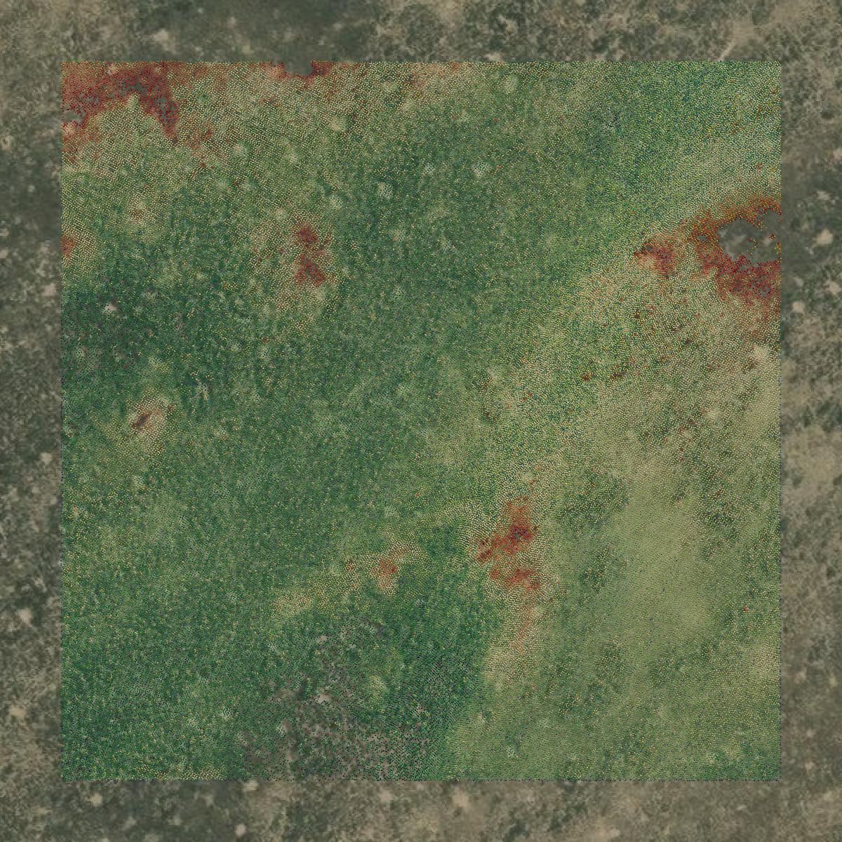This image shows a LiDAR point cloud in Jefferson County created using GIS data in Equator.