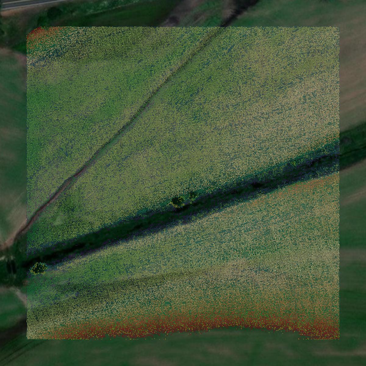 This image shows a LiDAR point cloud in Kootenai County created using GIS data in Equator.