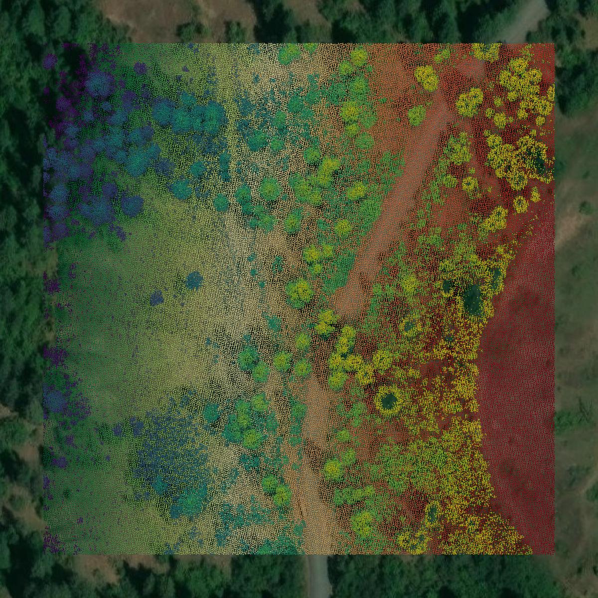 This image shows a LiDAR point cloud in Latah County created using GIS data in Equator.