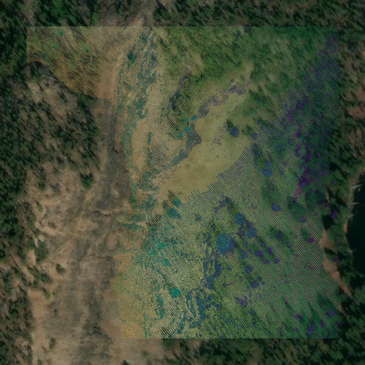 This image shows a LiDAR point cloud in Lemhi County created using GIS data in Equator.