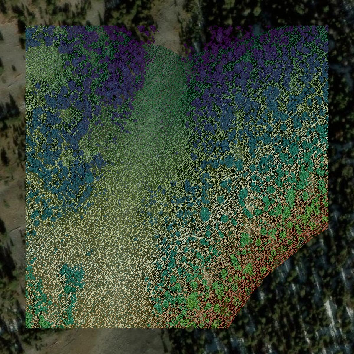 This image shows a LiDAR point cloud in Lemhi County created using GIS data in Equator.