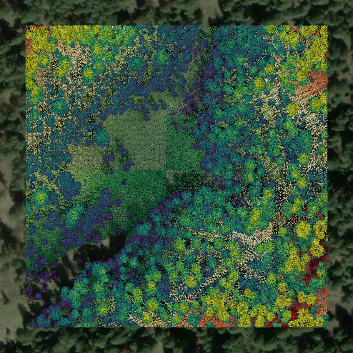 This image shows a LiDAR point cloud in Lewis County created using GIS data in Equator.