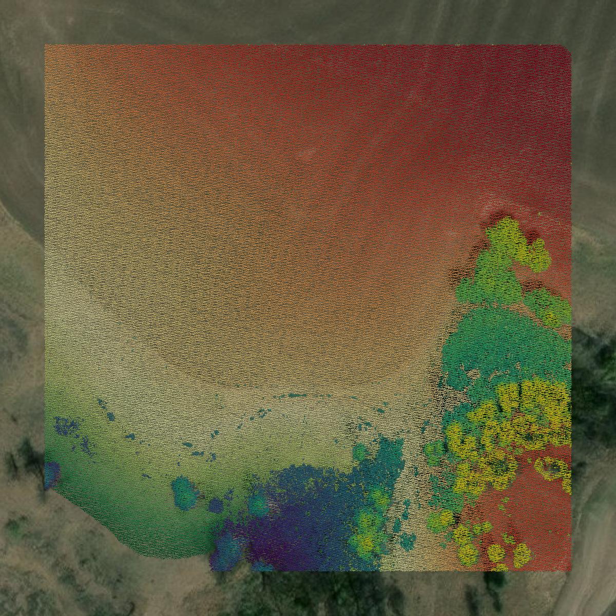 This image shows a LiDAR point cloud in Nez Perce County created using GIS data in Equator.