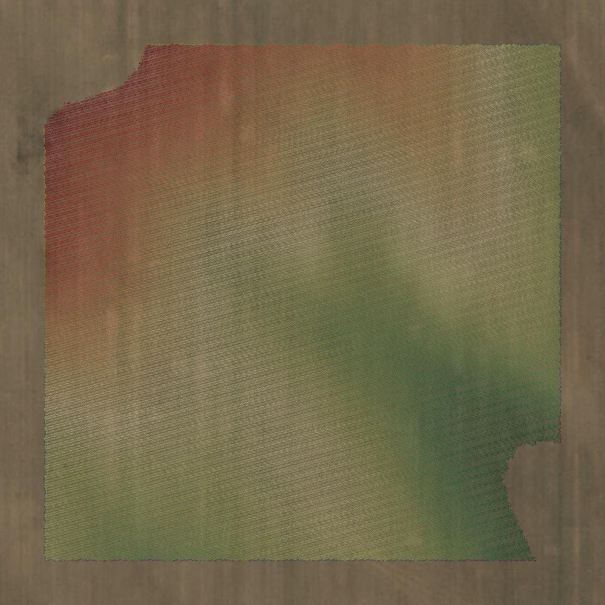 This image shows a LiDAR point cloud in Oneida County created using GIS data in Equator.