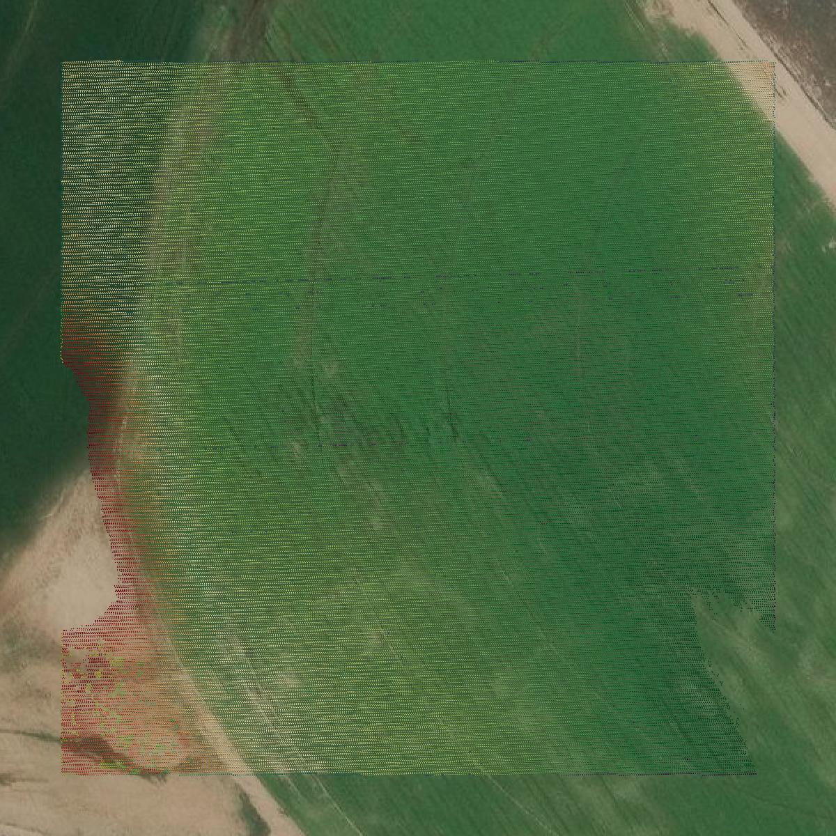 This image shows a LiDAR point cloud in Payette County created using GIS data in Equator.