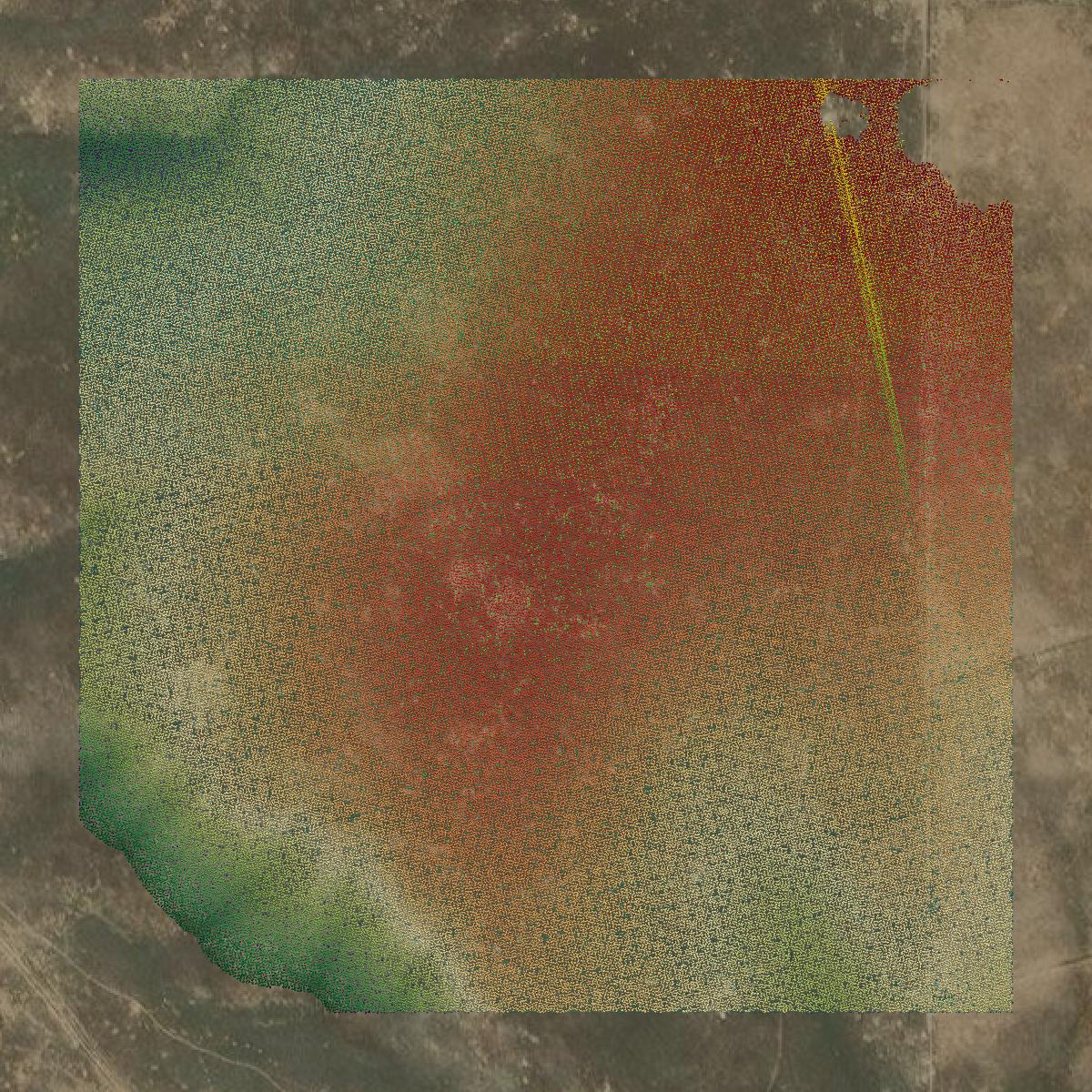 This image shows a LiDAR point cloud in Payette County created using GIS data in Equator.