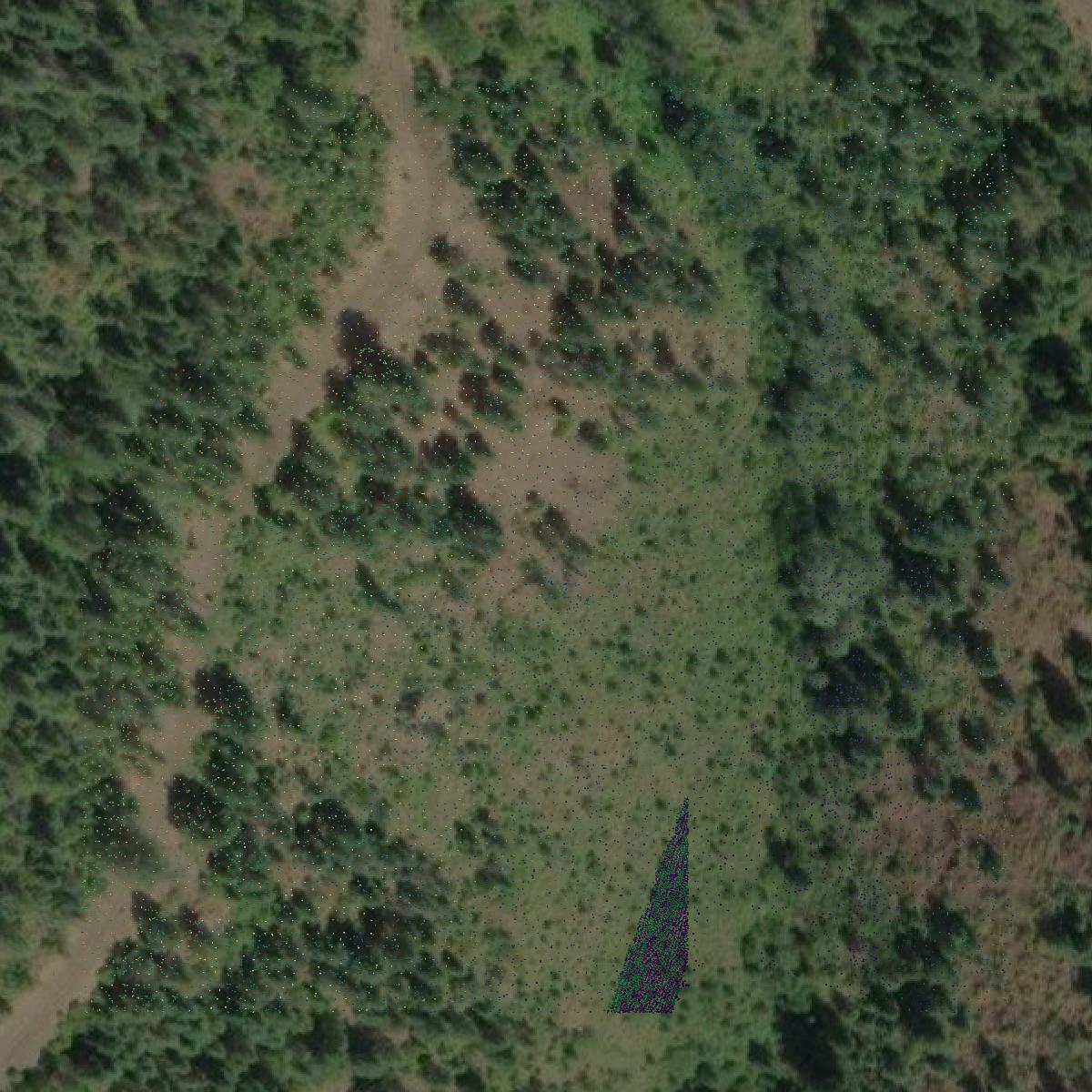 This image shows a LiDAR point cloud in Shoshone County created using GIS data in Equator.