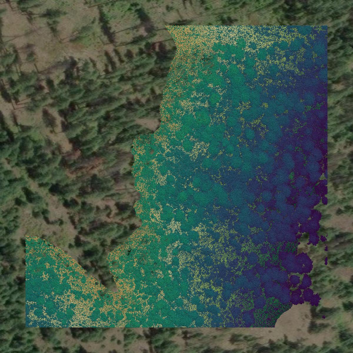 This image shows a LiDAR point cloud in Shoshone County created using GIS data in Equator.