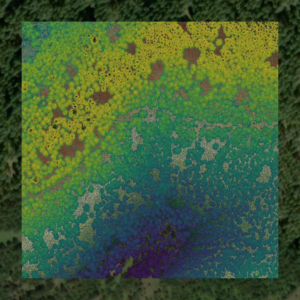 This image shows a LiDAR point cloud in Teton County created using GIS data in Equator.
