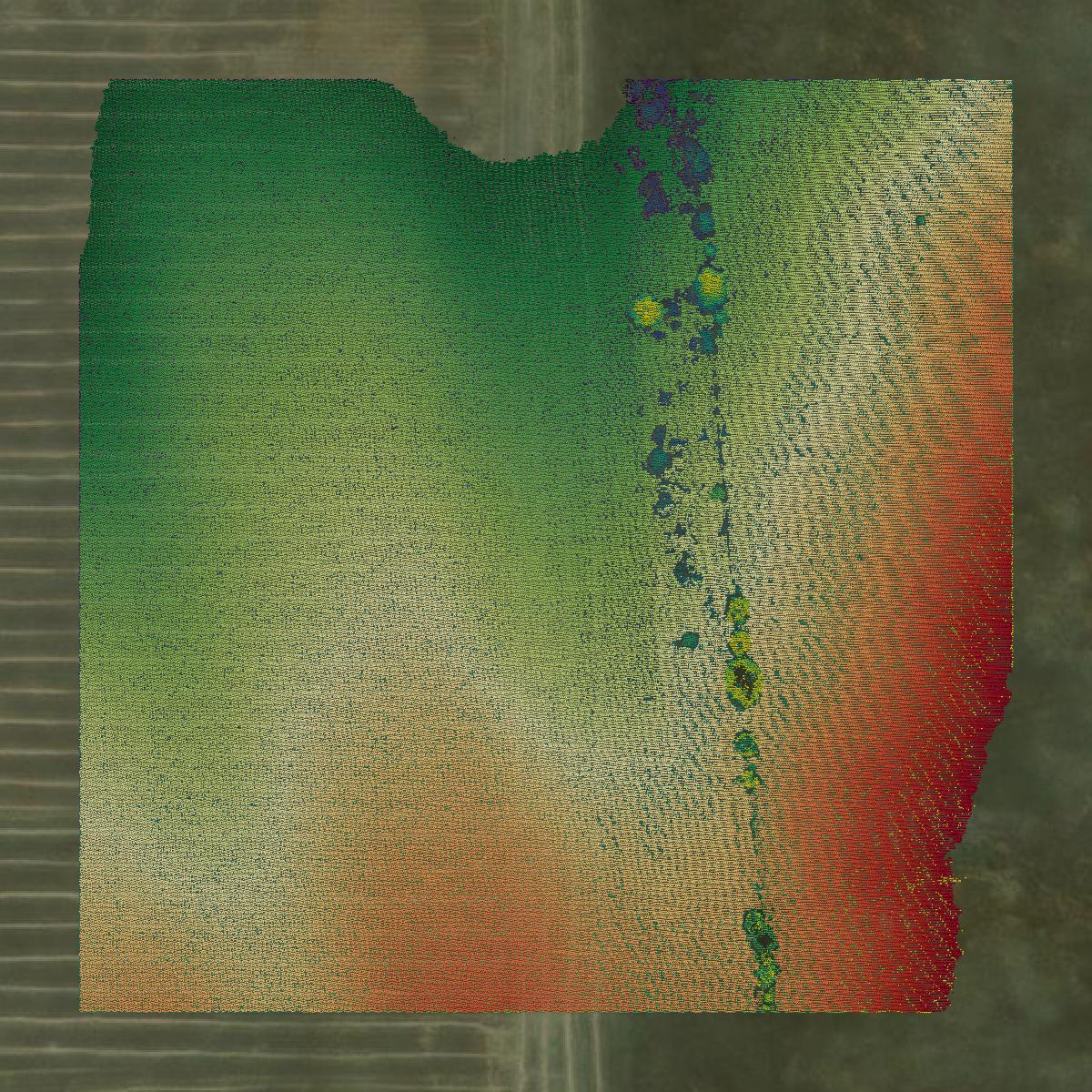 This image shows a LiDAR point cloud in Teton County created using GIS data in Equator.