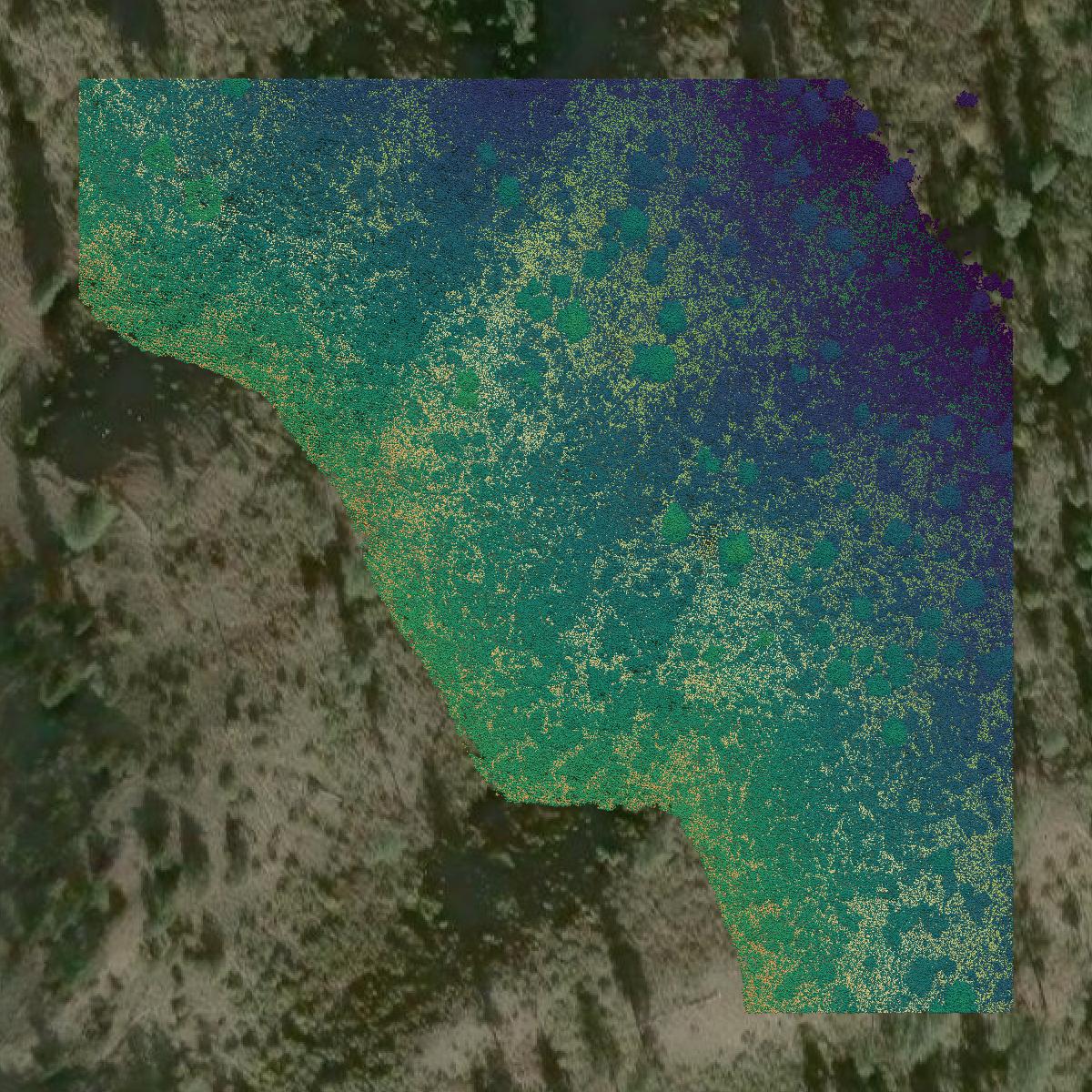 This image shows a LiDAR point cloud in Valley County created using GIS data in Equator.