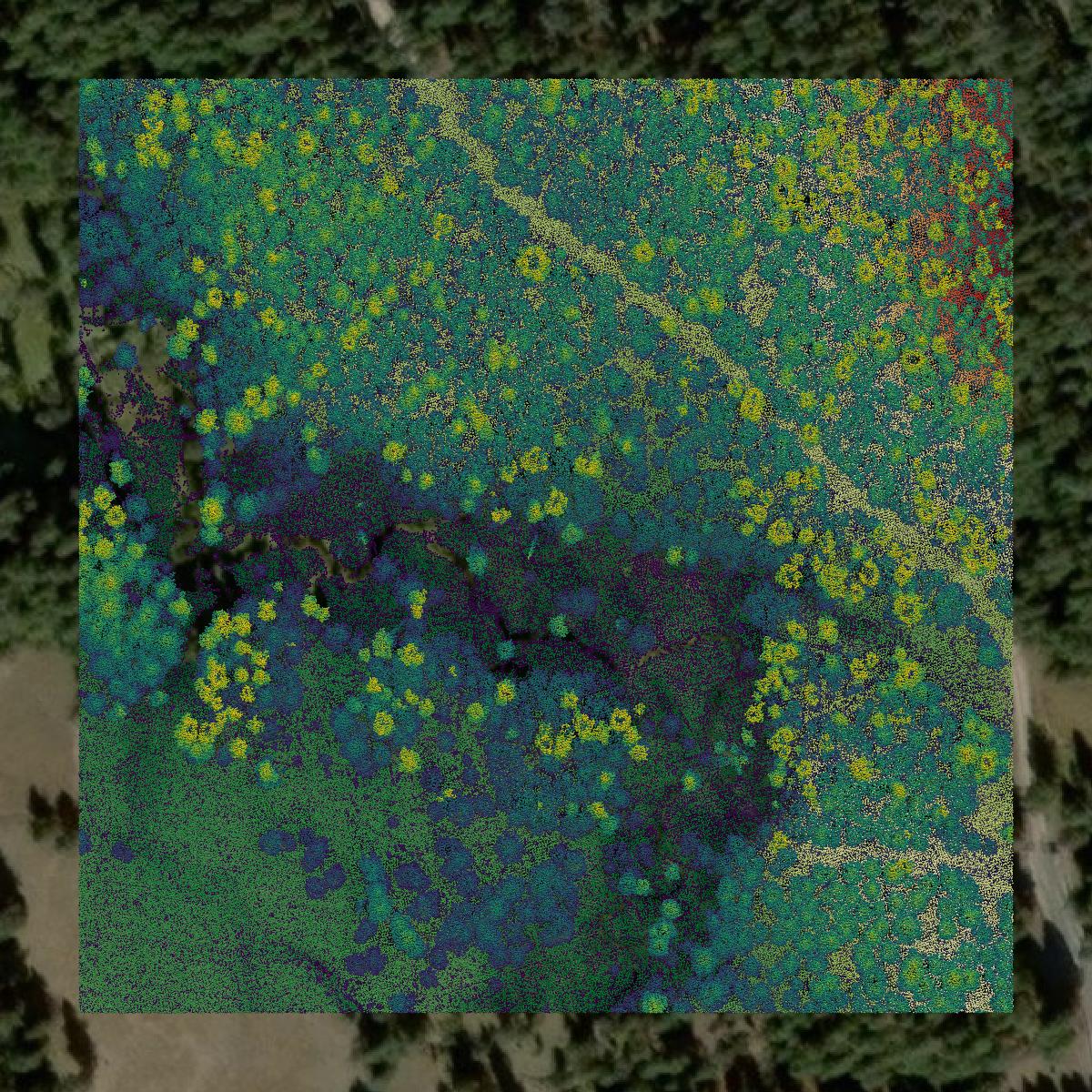 This image shows a LiDAR point cloud in Valley County created using GIS data in Equator.