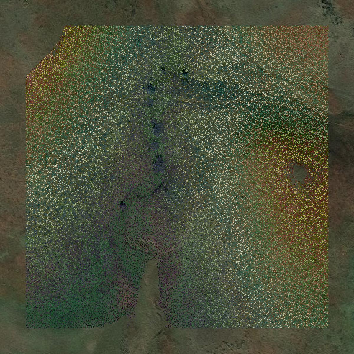 This image shows a LiDAR point cloud in Washington County created using GIS data in Equator.