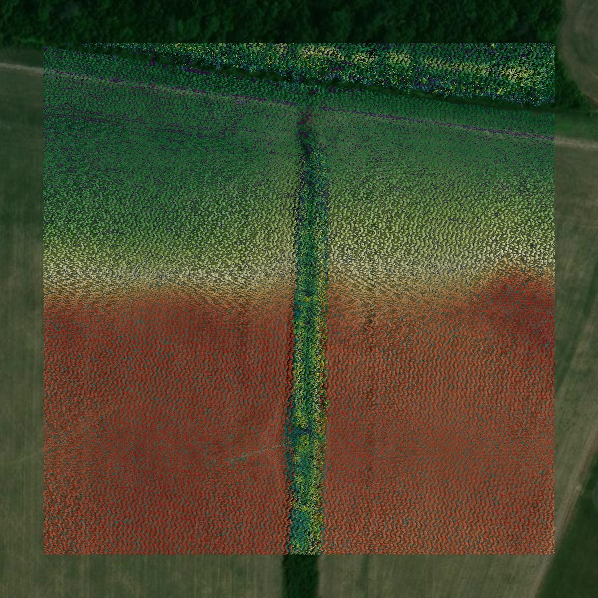 This image shows a LiDAR point cloud in Alexander County created using GIS data in Equator.