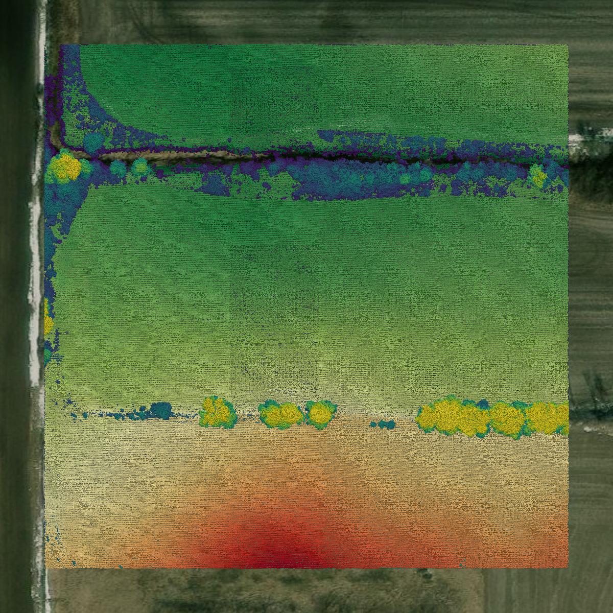 This image shows a LiDAR point cloud in Boone County created using GIS data in Equator.