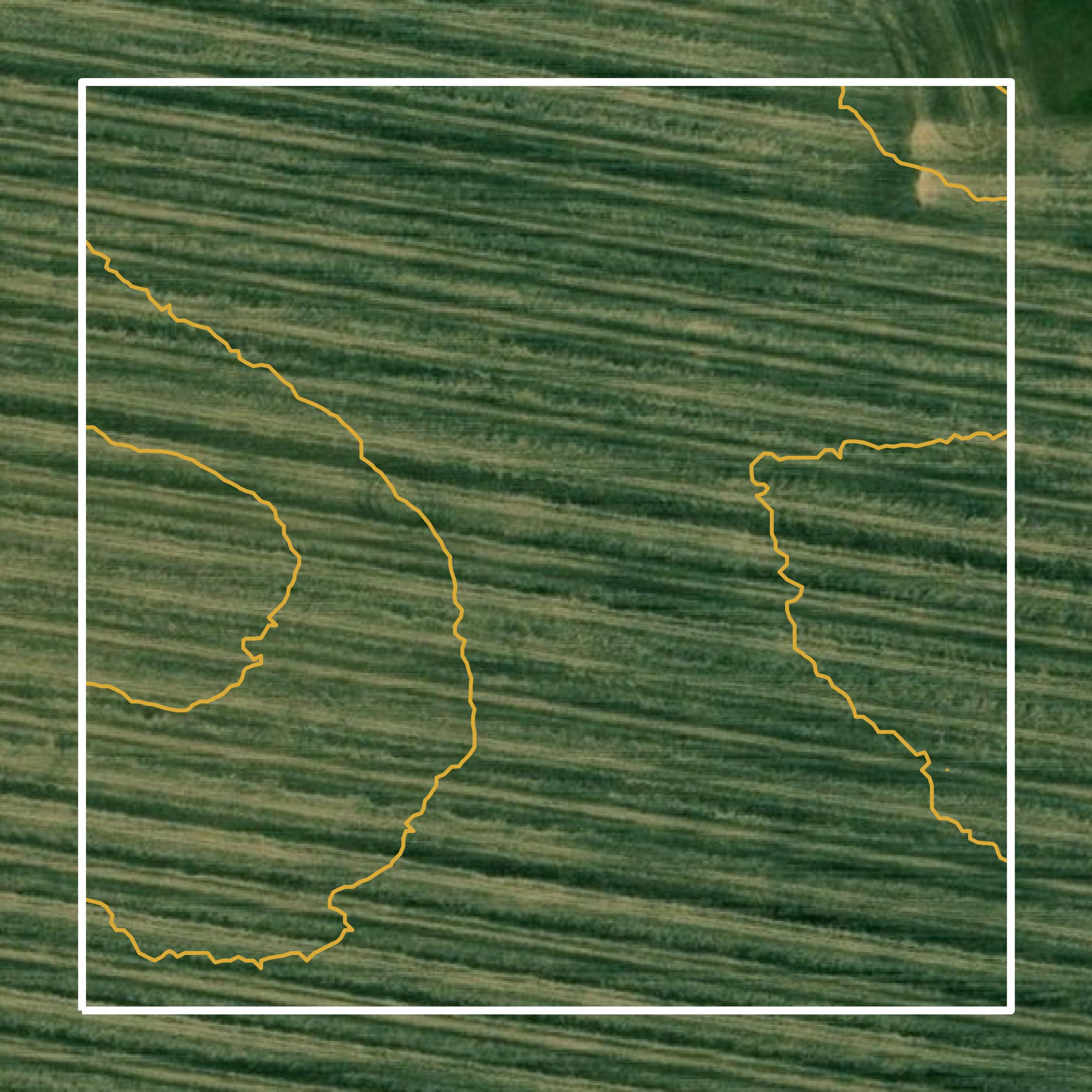 This image shows a contour map in Bureau County created using GIS data in Equator.