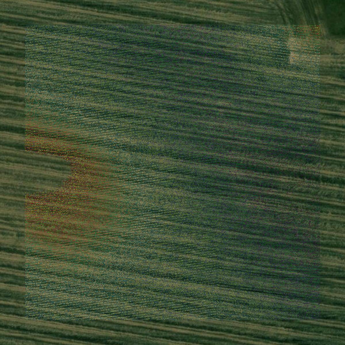 This image shows a LiDAR point cloud in Bureau County created using GIS data in Equator.