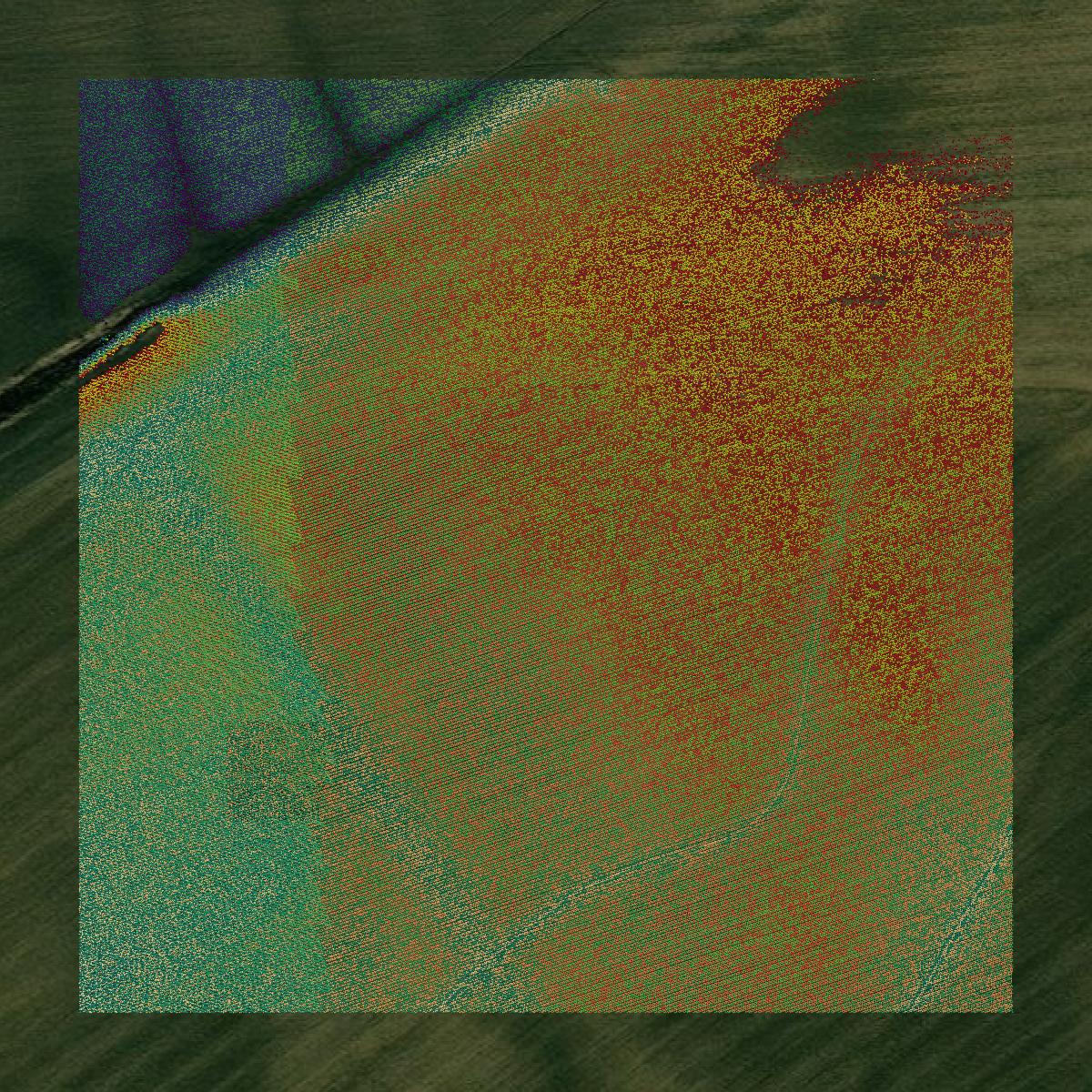 This image shows a LiDAR point cloud in Calhoun County created using GIS data in Equator.