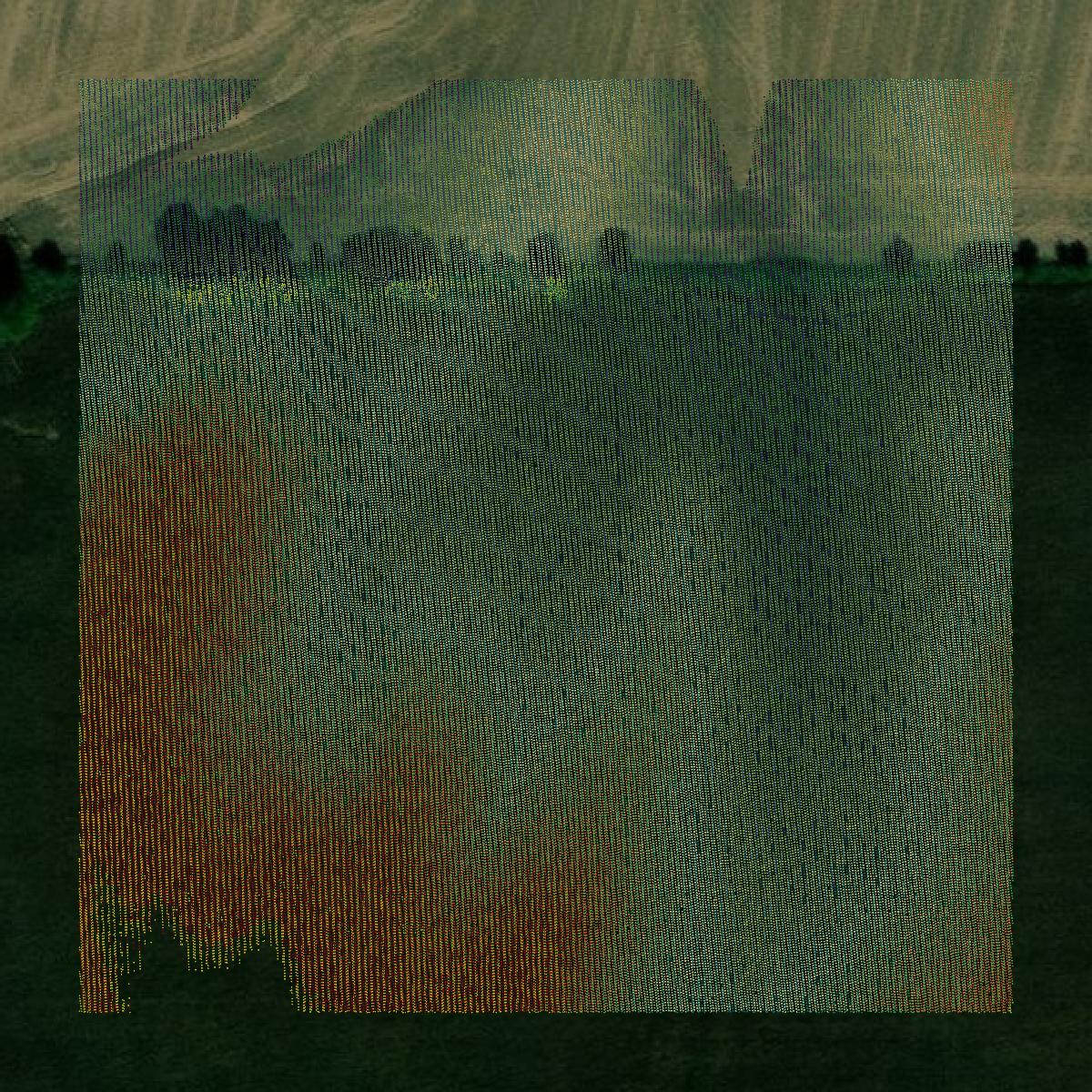 This image shows a LiDAR point cloud in Cass County created using GIS data in Equator.