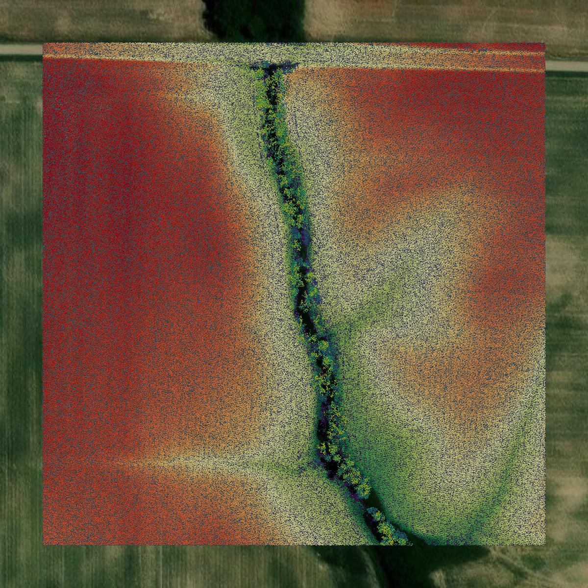 This image shows a LiDAR point cloud in Clay County created using GIS data in Equator.