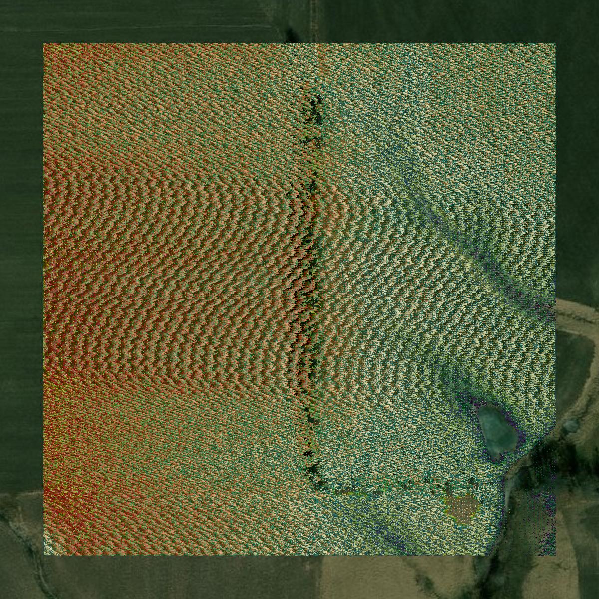 This image shows a LiDAR point cloud in Clay County created using GIS data in Equator.