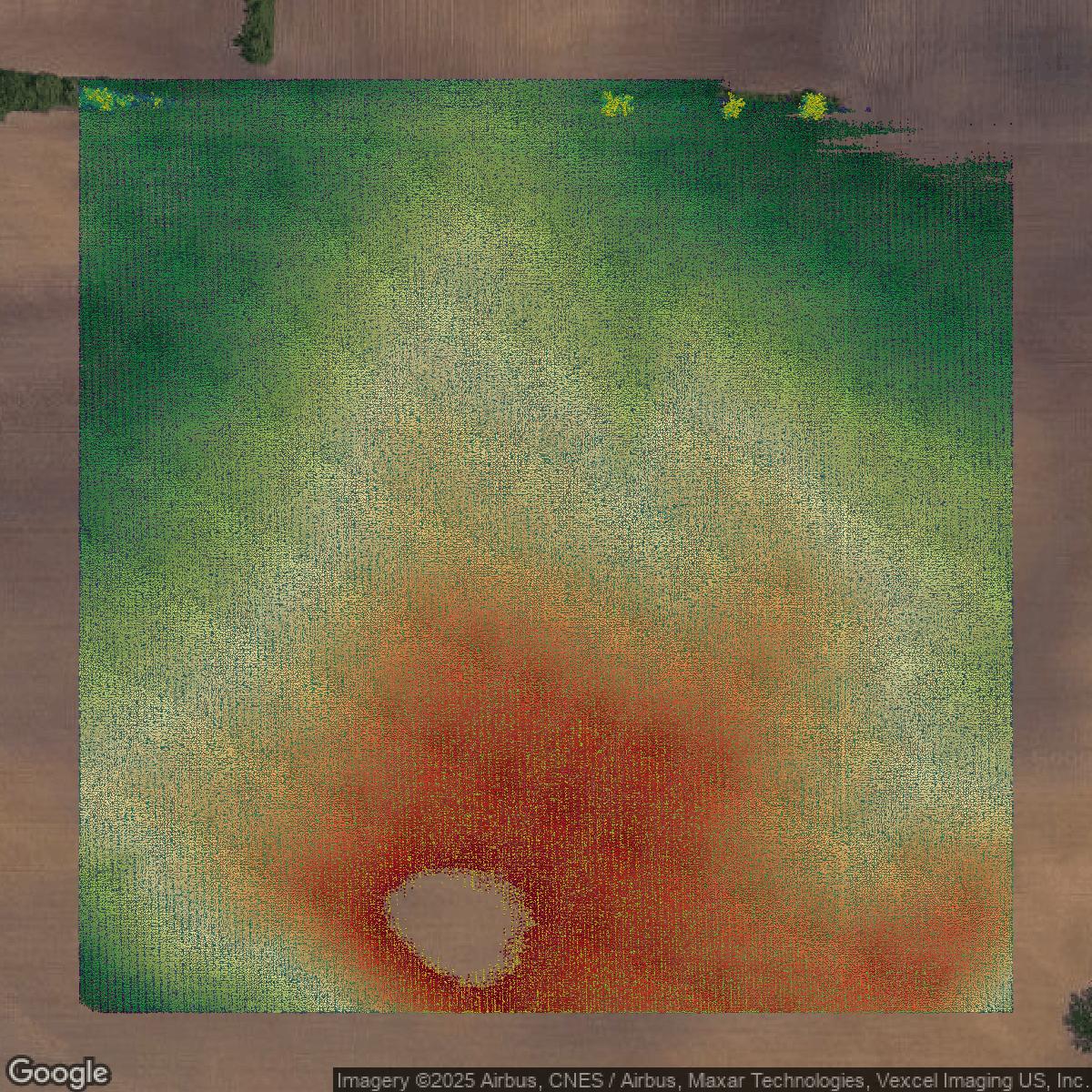 This image shows a LiDAR point cloud in Cook County created using GIS data in Equator.