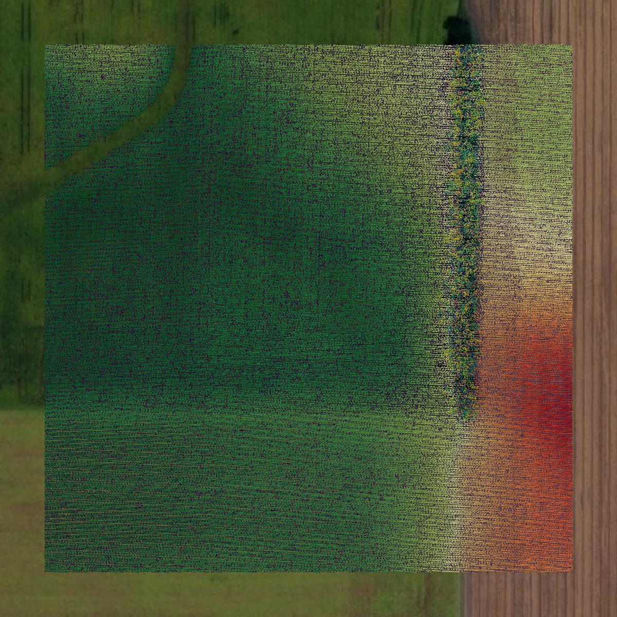This image shows a LiDAR point cloud in De Witt County created using GIS data in Equator.