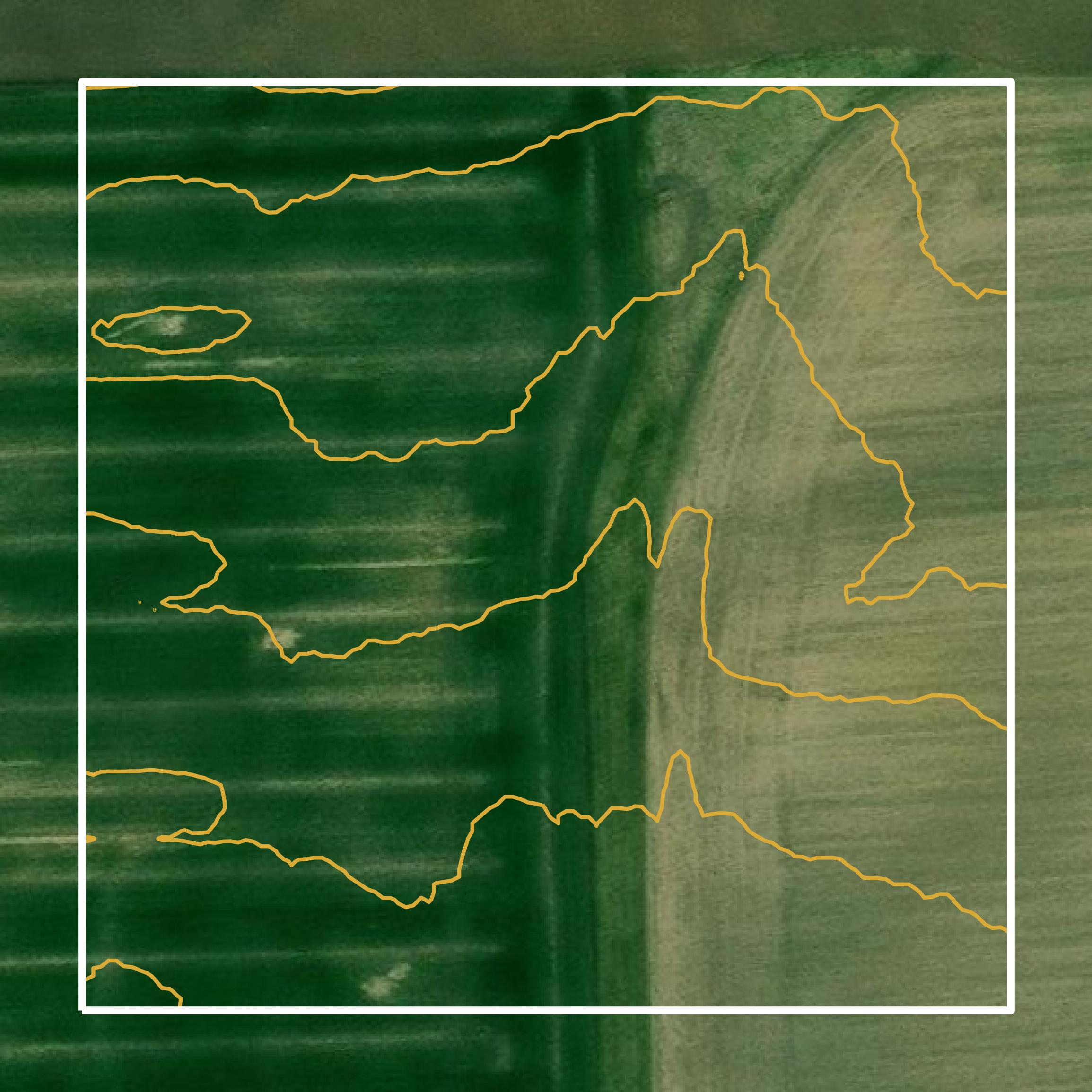 This image shows a contour map in Douglas County created using GIS data in Equator.