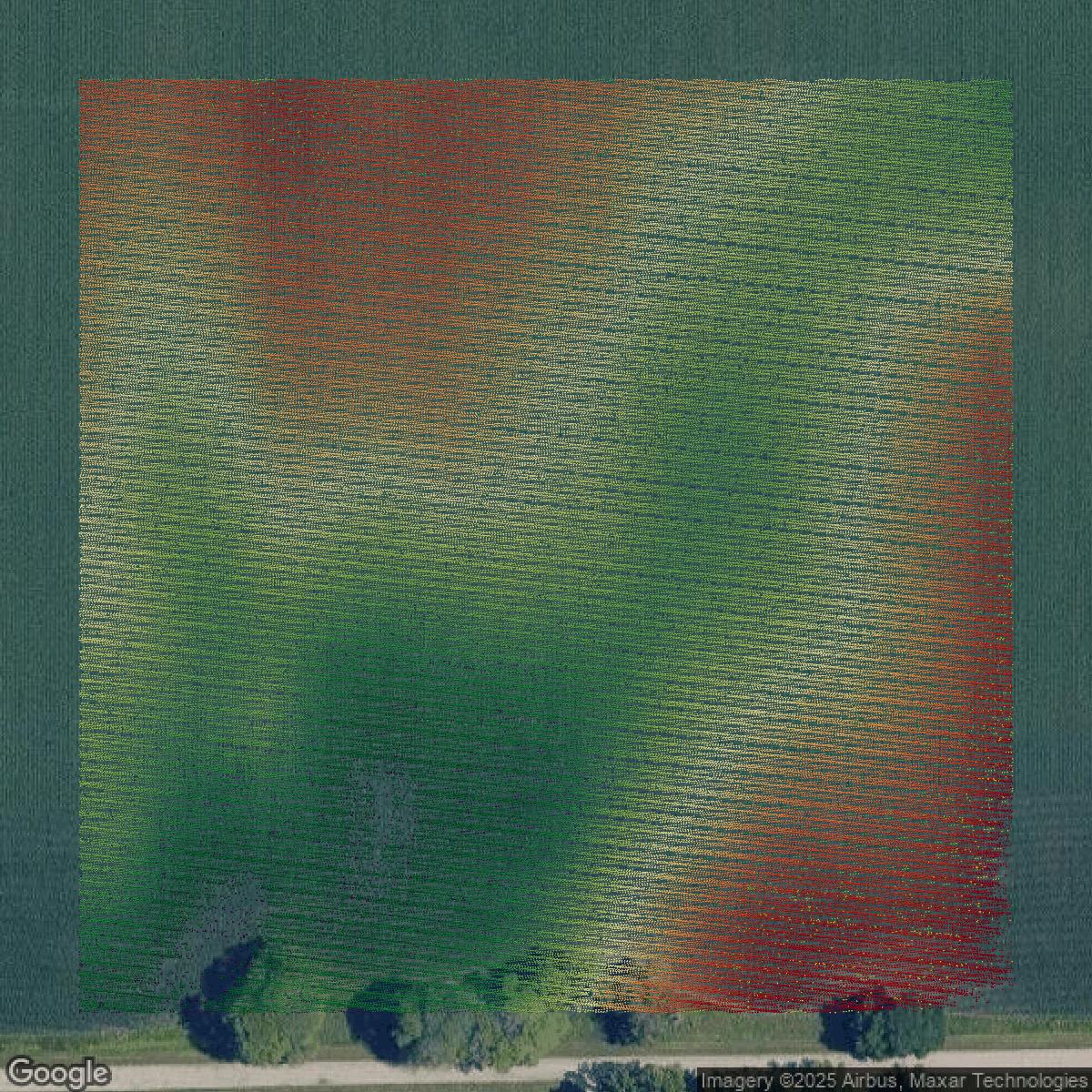 This image shows a LiDAR point cloud in DuPage County created using GIS data in Equator.